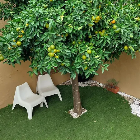 Your Private Garden In - Castelo&alfama Lissabon